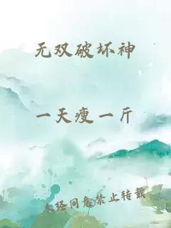 无双破坏神