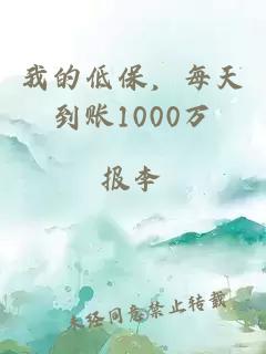 我的低保，每天到账1000万