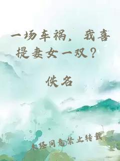 一场车祸，我喜提妻女一双？