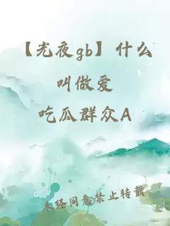 【光夜gb】什么叫做爱