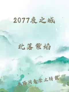 2077夜之城