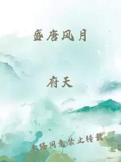 盛唐风月