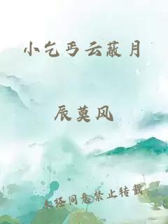 小乞丐云蔽月