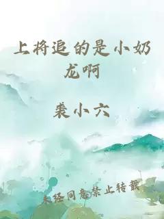 上将追的是小奶龙啊