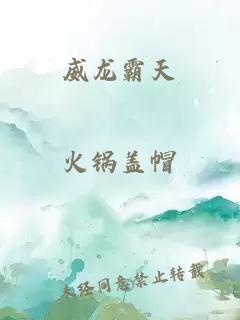 威龙霸天