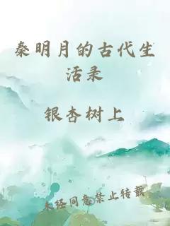 秦明月的古代生活录