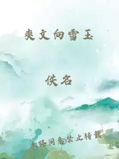 爽文向雪玉