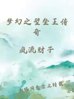 梦幻之壁垒王传奇