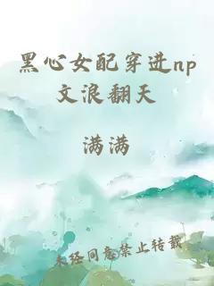 黑心女配穿进np文浪翻天