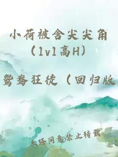 小荷被含尖尖角（1v1高H）