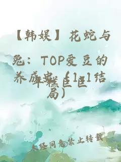 【韩娱】花蛇与兔：TOP爱豆的养成史（1v1结局）