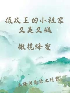 摄政王的小祖宗又美又飒