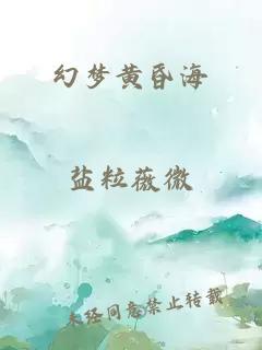 幻梦黄昏海