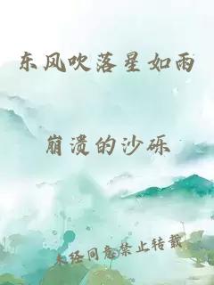 东风吹落星如雨