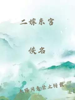 二嫁东宫