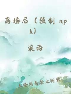 离婚后（强制 nph）