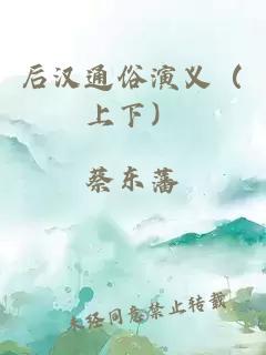 后汉通俗演义（上下）