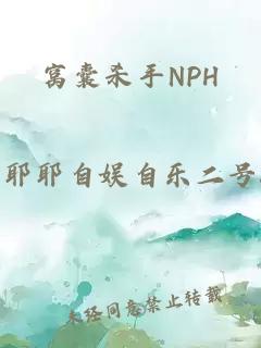 窝囊杀手NPH