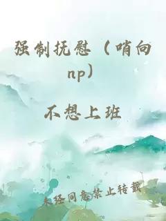 强制抚慰（哨向 np）