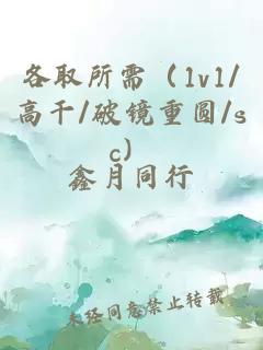 各取所需（1v1/高干/破镜重圆/sc）