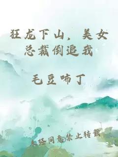 狂龙下山，美女总裁倒追我