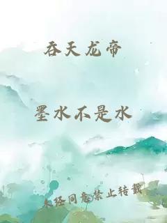 吞天龙帝