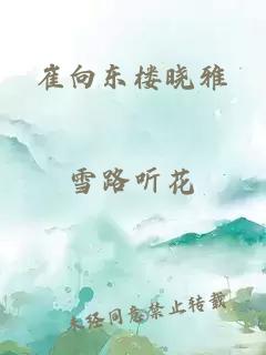 崔向东楼晓雅