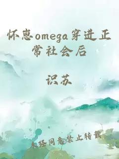 怀崽omega穿进正常社会后