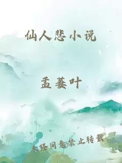 仙人悲小说