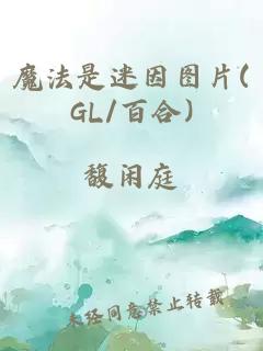 魔法是迷因图片(GL/百合)