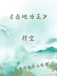 《占地为王》