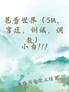 芭蕾世界（SM，宫廷，训诫，调教）