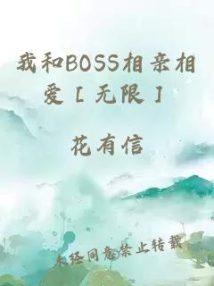 我和BOSS相亲相爱［无限］